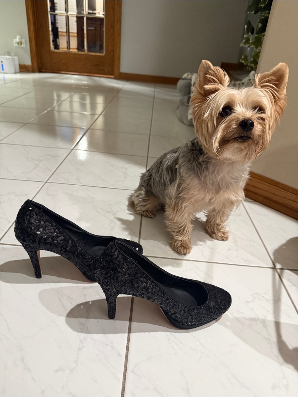 White House Black Market Black Sequin Mid Heel Pumps